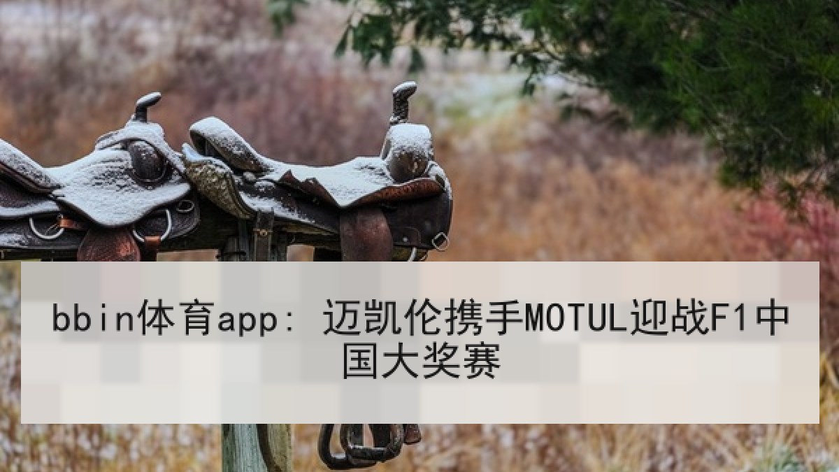 bbin体育app: 迈凯伦携手MOTUL迎战F1中国大奖赛