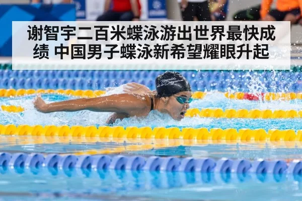 swimmer racing pool
